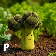 Vivacious Vegetable Broccoli