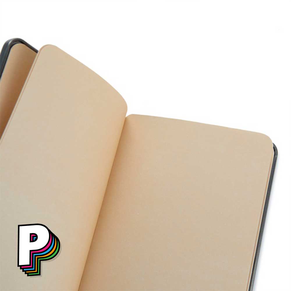 Carnet en forme de boîte de saumons conserverie avec détails des  pages colorées