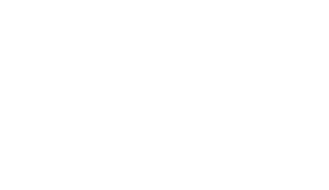 Logo Fluid Market