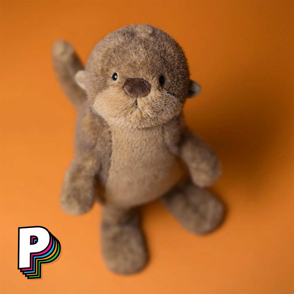 Tête de la peluche loutre Brooke