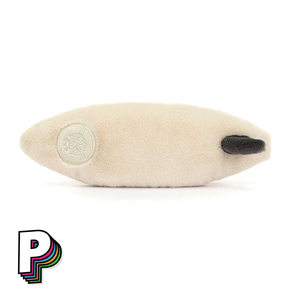 détail aileron planche de surf